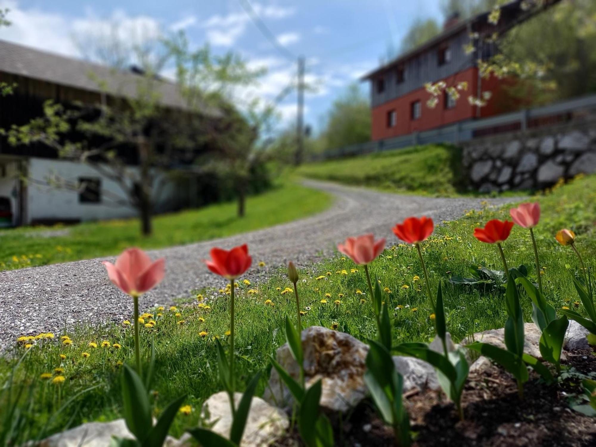 The Riverside Chill Hostel Bled Exterior foto